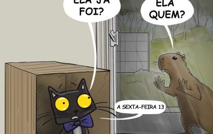 Nem todo gato curte a sexta-feira 13