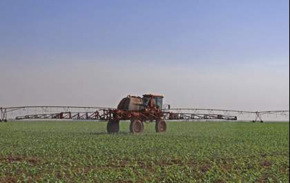 São Paulo consolida liderança nas exportações brasileiras do agronegócio em 2024