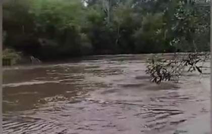 Temporal em Bonito derruba árvores e fecha Balneário Municipal