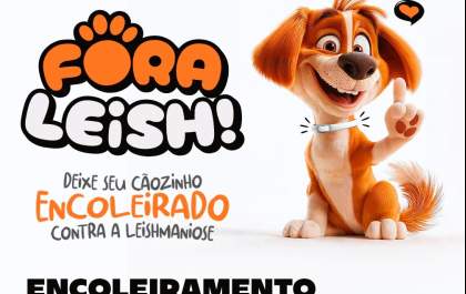 Prefeitura faz encoleiramento de cães contra a leishmaniose no Engenheiro Taveira