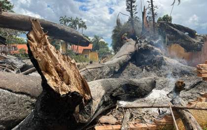 Fogo de propriedade vizinha derrubou árvore em terreno de restaurante em Birigui