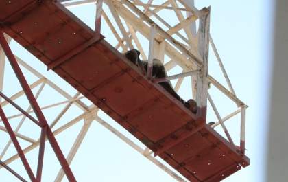 Homem que subiu em torre para “dormir” mobiliza o corpo de bombeiros