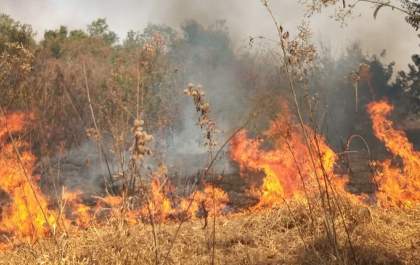Área florestal atingida por incêndios na Mata Atlântica entre janeiro e outubro foi três vezes maior que a desmatada durante o primeiro semestre