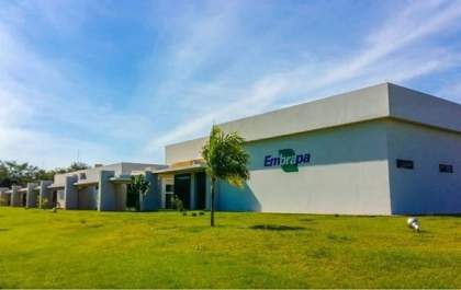 Concurso da Embrapa com salários de até R$12,8 mil tem inscrições prorrogadas