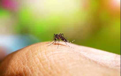 Governo do Estado lança Plano de Contingência da dengue, chikungunya e Zika