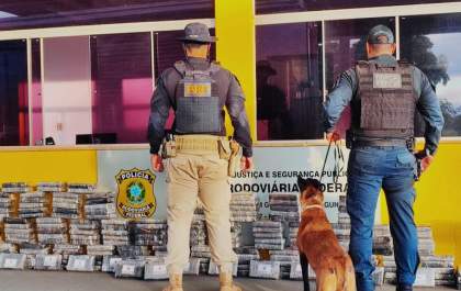 Droga avaliada em R$ 20 milhões é descoberta com apoio de cão farejador em MS