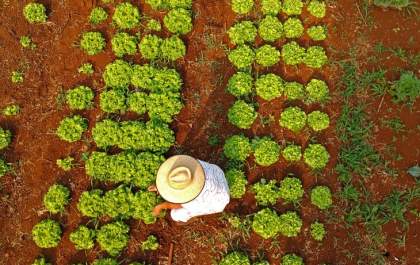 Confira o resultado do programa de qualificação para atuar na agricultura familiar em MS