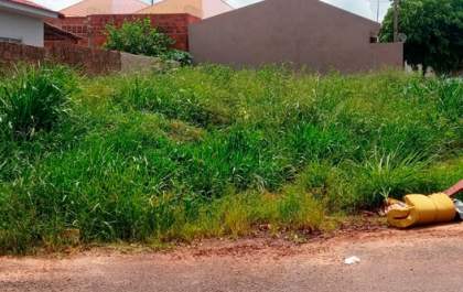Decreto da Prefeitura de Birigui dá 5 dias para proprietários fazerem a limpeza de terrenos