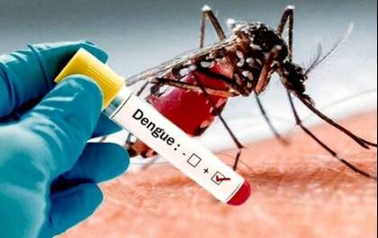 MS confirma 804 casos de dengue e um óbito