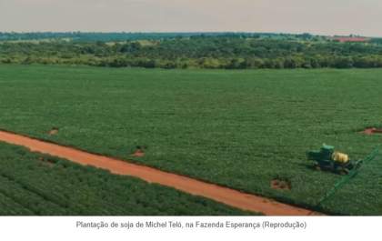 Promotora questiona números apresentados pela família de Michel Teló sobre reflorestamento em fazenda