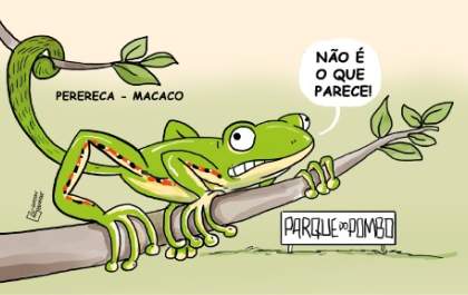 Charge: Essa perereca é macaco?