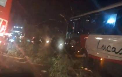 Fortes ventos derrubam árvores e provocam acidentes na Rodovia dos Barrageiros
