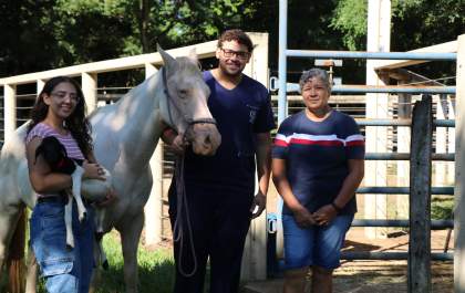 Cavalo Ringo 'busca sozinho' atendimento no Hospital Veterinário do Unisalesiano