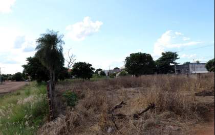 Três Lagoas já multou mais de 500 terrenos por mato alto e sujeira em 2025