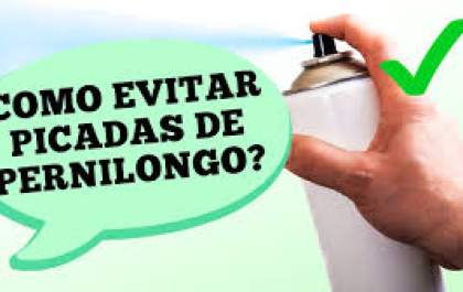 Dr. Ajuda: como evitar picadas de pernilongos