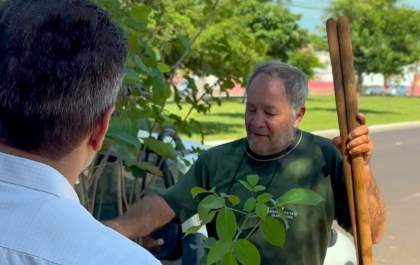 Plantio de mudas na Waldemar Alves marca início do programa Araçatuba Mais Verde