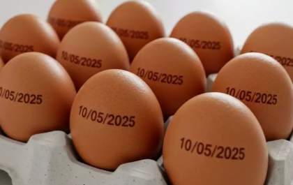 Governo revoga exigência de carimbo com validade em cascas de ovos