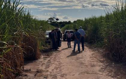 Corpo de mulher é encontrado em canavial em Araçatuba