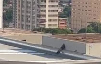 Homem é flagrado se masturbando no teto do Fórum de Campo Grande
