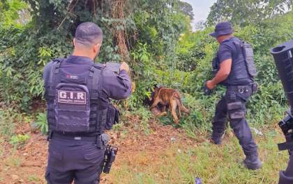Polícia Penal: Cães de faro realizam apreensões no retorno da saída temporária