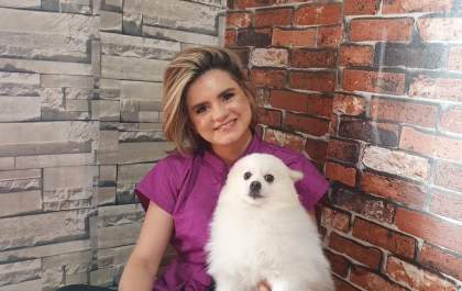 Mister Dog: 21 anos de amor aos pets com tosas e colorimetria