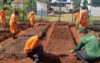 Detentas de Três Lagoas recebem qualificação em horticultura