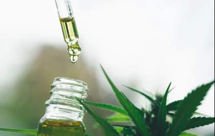 Anvisa abre consulta pública para revisar regras sobre produtos à base de cannabis no Brasil