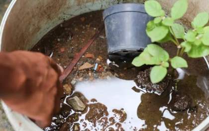 Chuvas no outono aumentam o risco de dengue em Três Lagoas