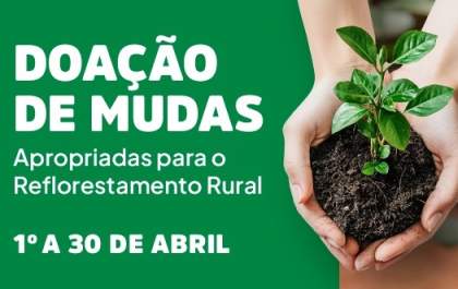 Prefeitura de Birigui irá doar mudas de árvores nativas para produtores rurais do município
