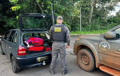 DOF apreende maconha que seguia para o Estado do Paraná
