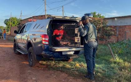 Homem é brutalmente espancado e esfaqueado em Três Lagoas