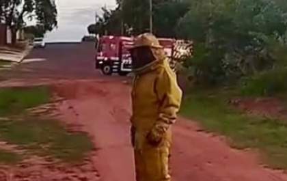 Mulher morre após ataque de abelhas em Andradina