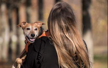 Terapia com animais auxilia na recuperação de pacientes