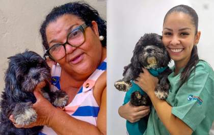 Em Araçatuba, Clínica Meu Pet chega aos 2 anos com foco no atendimento gratuito
