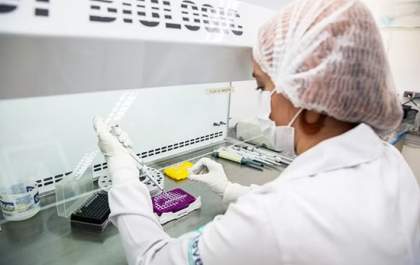 Anvisa aprova registro de vacina contra chikungunya desenvolvida pelo Instituto Butantan