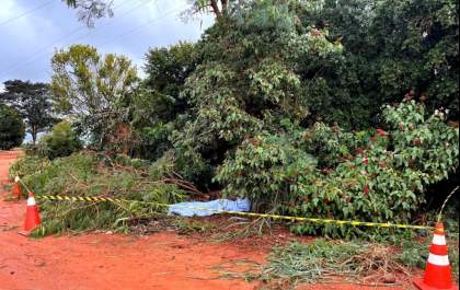 Homem morre eletrocutado ao podar árvore em contato com rede elétrica