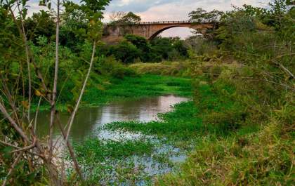Dia do Baguaçu terá vivência ambiental com estudantes no Dia do Ribeirão Baguaçu