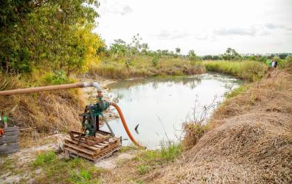 Apenas 4% da mata nativa do ribeirão Baguaçu está preservada