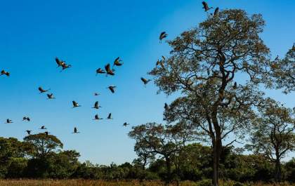 Áreas com inundações frequentes podem ser isentas de Imposto Territorial Rural