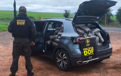 Adolescente é apreendido pelo DOF com carro roubado e carregado com mais de R$ 2 milhões em drogas