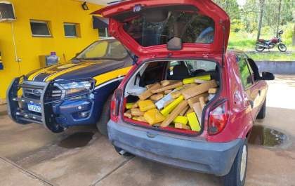 PRF apreende 242 kg de maconha em Três Lagoas