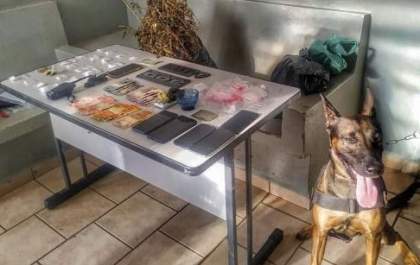 Dois homens são presos durante buscas em Santópolis do Aguapeí