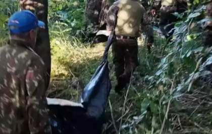 Laudo revela que caseiro tentou se defender de ataque de onça