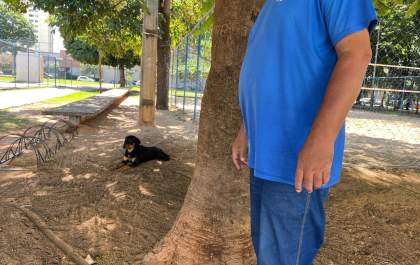 Cão é recolhido após avançar em criança na praça Getúlio Vargas