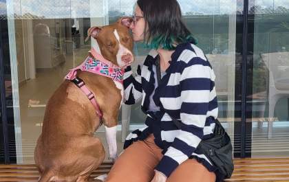 Clínica Meu Pet transforma a vida da Pit bull Alice, após anos de sofrimento e incertezas veterinárias
