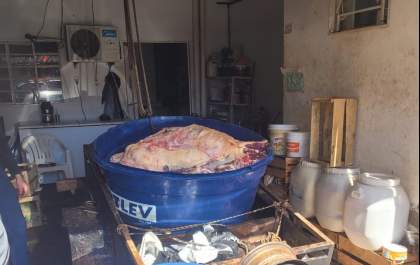Polícia Civil e IAGRO apreendem quase duas toneladas de carne imprópria para consumo&nbsp;