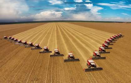 Mato Grosso do Sul Obtém Segunda Maior Colheita de Soja da História