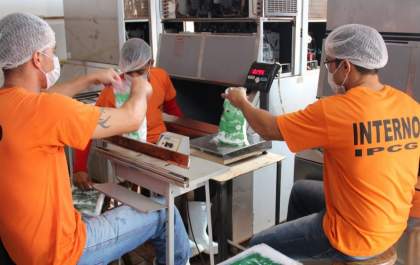 Presos de MS farão cursos para ingressar no mercado de trabalho