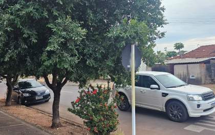 Árvores escondem placas de PARE e colocam trânsito em risco em Três Lagoas