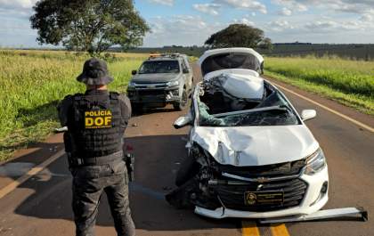 DOF recupera veículo furtado no Paraná carregado com mais de 700 quilos de drogas